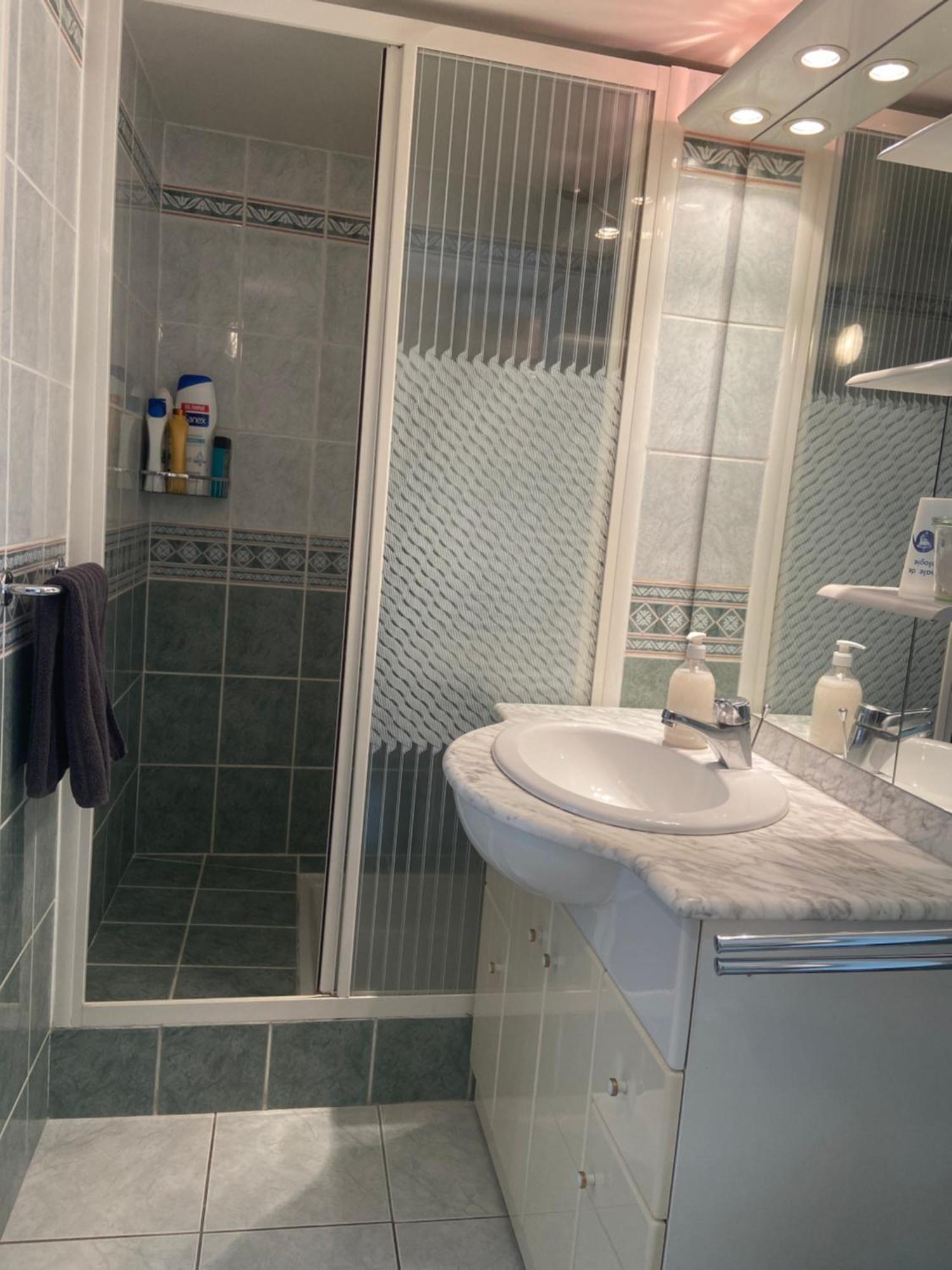 Sweet Home - 55M2 Appartment, Garden, Swimming Pool, Parking Toulouse Extérieur photo