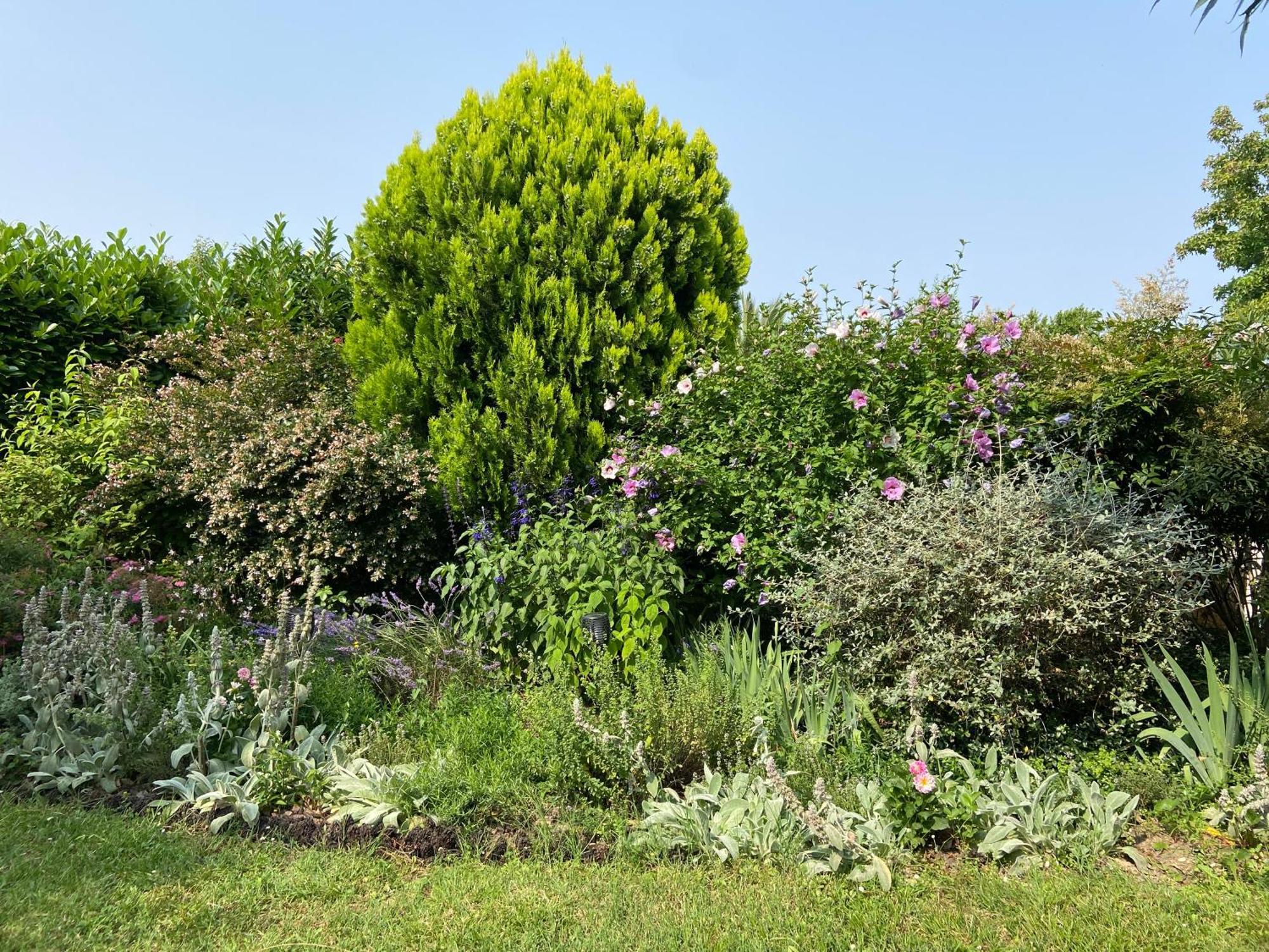 Sweet Home - 55M2 Appartment, Garden, Swimming Pool, Parking Toulouse Extérieur photo